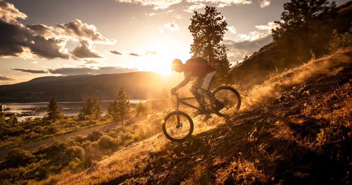 Mountain Biking 101 by Sportshare: Ultimate Off-Road Guide