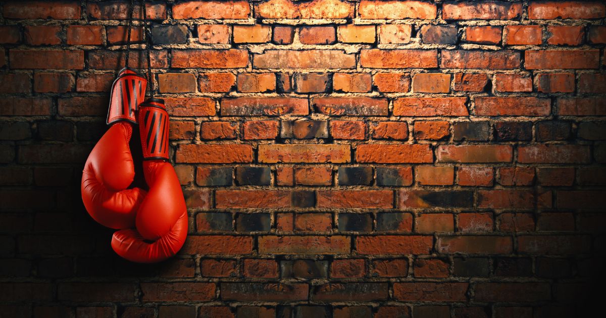 Why Choose Sanabul Boxing Gloves from Sportshare Rentals