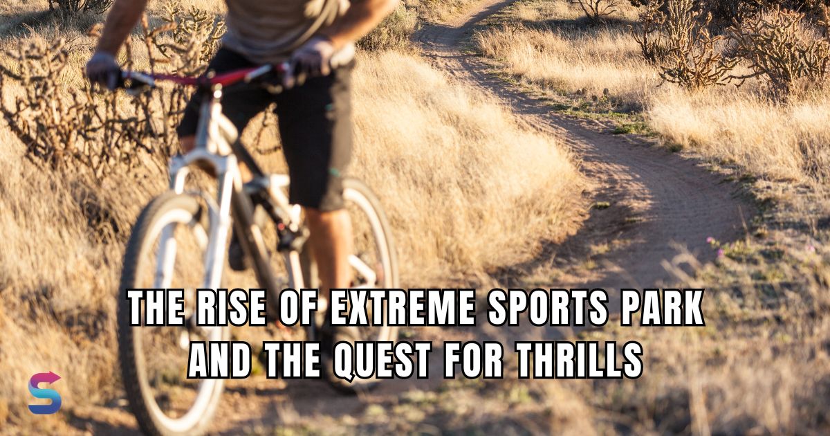 The Rise of Extreme Sports Parks and the Quest for Thrills